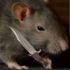 bob_has_a_knife