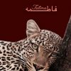 fatmajk49
