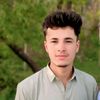 shamsher.ali244