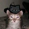 nicknamedbeta