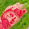 tasnim.akter235