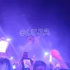 not_plumi