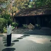 dlinh150505