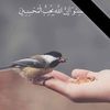 user8709092251362