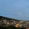 surmanidzemari_ii