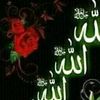 shakar.abbas3