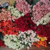 phuong.vuahoasukien.dl