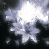 star_43025