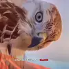 hambaall75