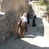 ibrahem.mahmud7