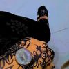 dulqad__badan7
