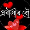 halima3185