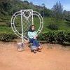 lia.noneng