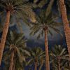 omer_dos