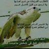 user7726321442924