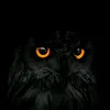 Thumbnails Creations