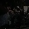 yajaf01r