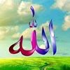 user8419258470706