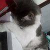 melissa.lisett.he