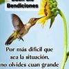 user3614036605599