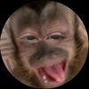niel_etzzz