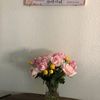 user45048190131233