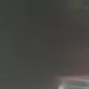 aurea.rosa.dias
