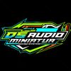 dsaudiominiatur_