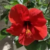 vickyta7813