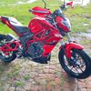 renatogarcia17380