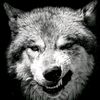 aemad.tamer