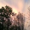 phoenix.pl7