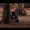 joe.zae