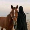 fatma.mohamed4922