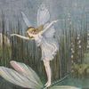 fairygirl5550