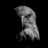 zerak__z1