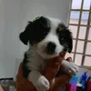 jvkjzfds