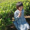 user7838442876187