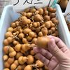 kkim09876543210