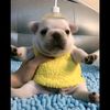 luis_250712