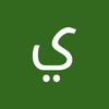 user8508219947040