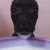 phnganhcutehehehe