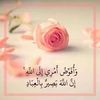 user37527404319856