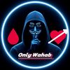 onlywahab.gaming07
