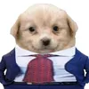 pozoleggez