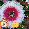 user25238498478203