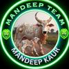 mandeep.kaur861