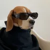 ano_3434
