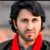 mohammad.hamid956