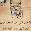 user7513373769299